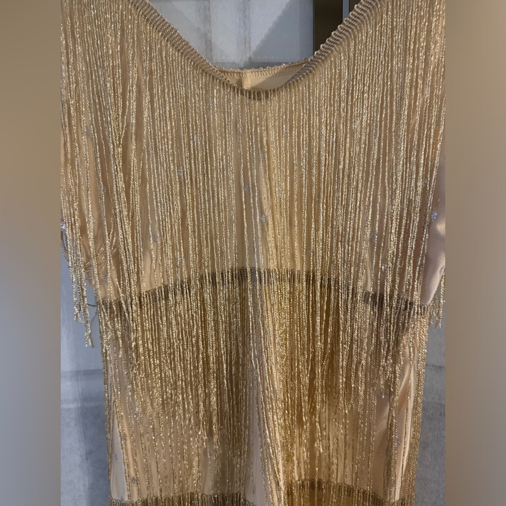 Gold Tassel Flapper Style Dress - Picture 3 of 3